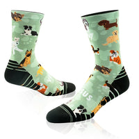 Versus | Crew Length | Dogs 2.0