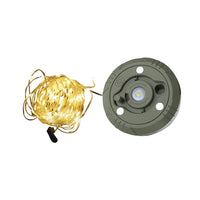 Legion Light | Glowvine Fairy Light 100