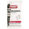 Hammer - Recoverite
